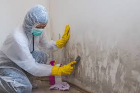 Best Mold Removal for HVAC Installations  in Colona, IL